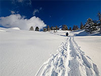 Romantisches Schneeschuh Erlebnis für Naturgeniesser